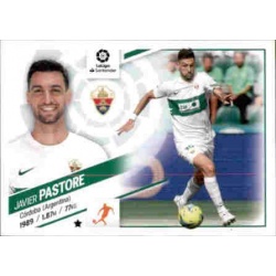 Pastore Elche 14