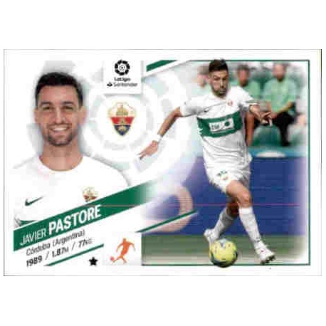 Pastore Elche 14