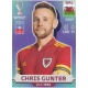 Chris Gunter Wales WAL7