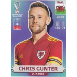 Chris Gunter Wales WAL7