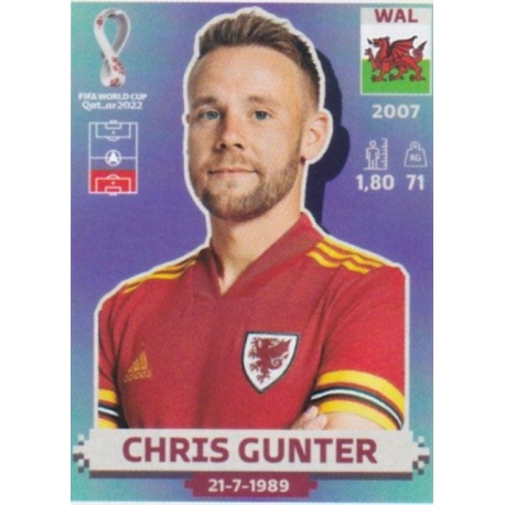 Chris Gunter Wales WAL7