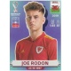 Joe Rodon Wales WAL10