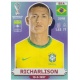 Richarlison Brazil BRA19